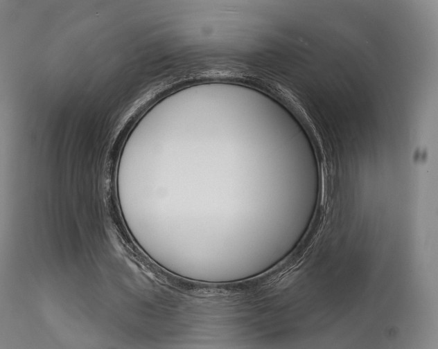 X0000112140435200908070942
