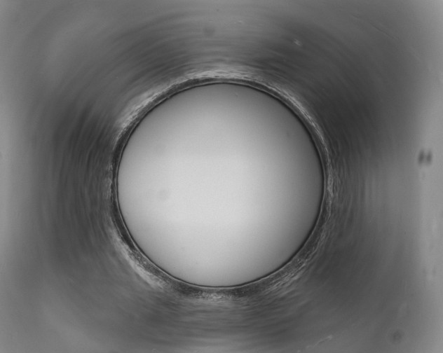 X0000112140437200908070942