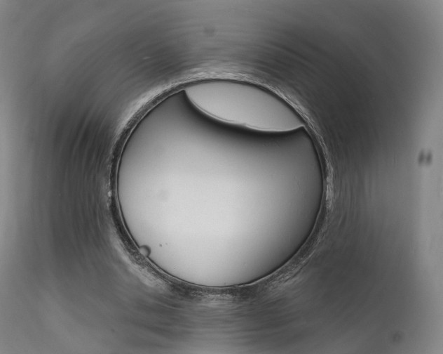 X0000112140438200908070942