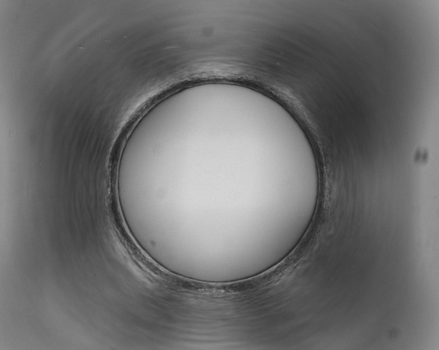 X0000112140439200908070942