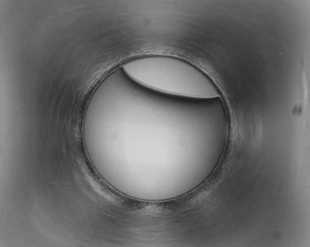 X0000112140441200908070942
