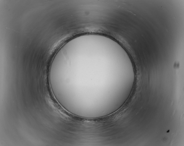 X0000112140442200908070942