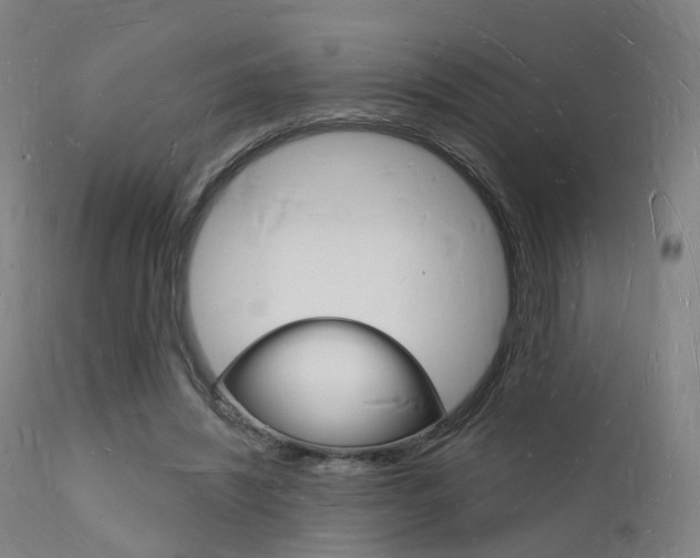 X0000112140444200908070943