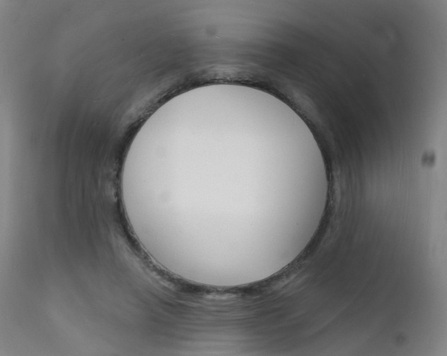 X0000112140450200908070943