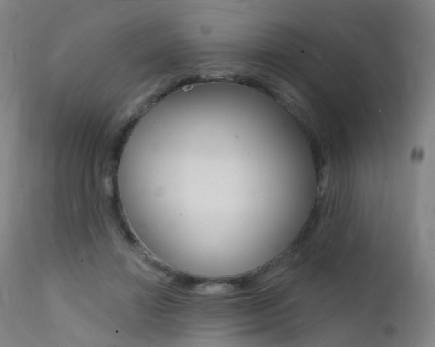 X0000112140452200908070943