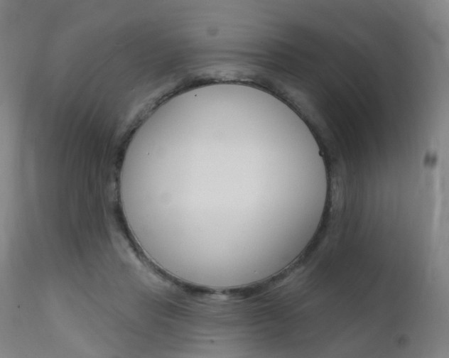 X0000112140453200908070943