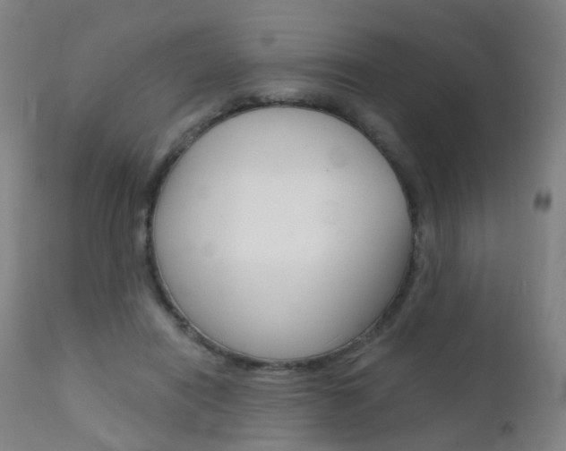 X0000112140454200908070943