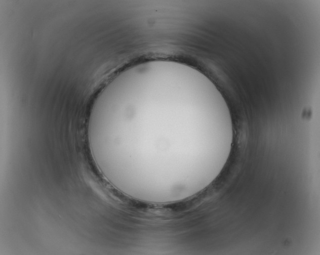 X0000112140455200908070943