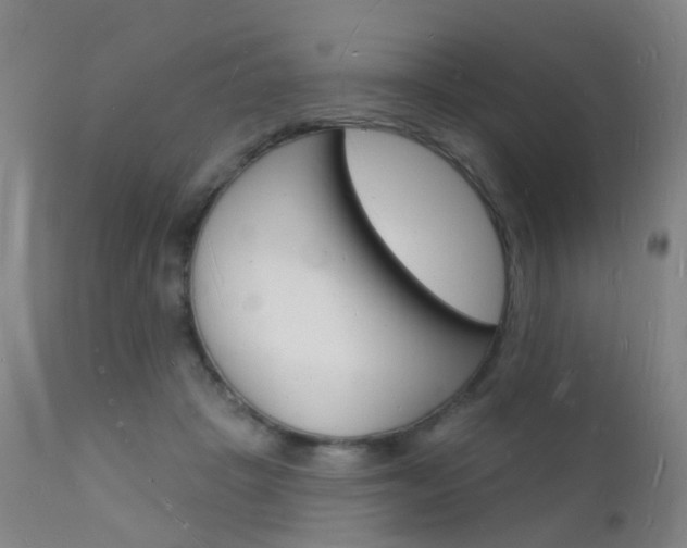 X0000112140457200908070943