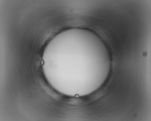 X0000112140458200908070943