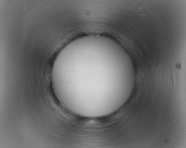 X0000112140460200908070943