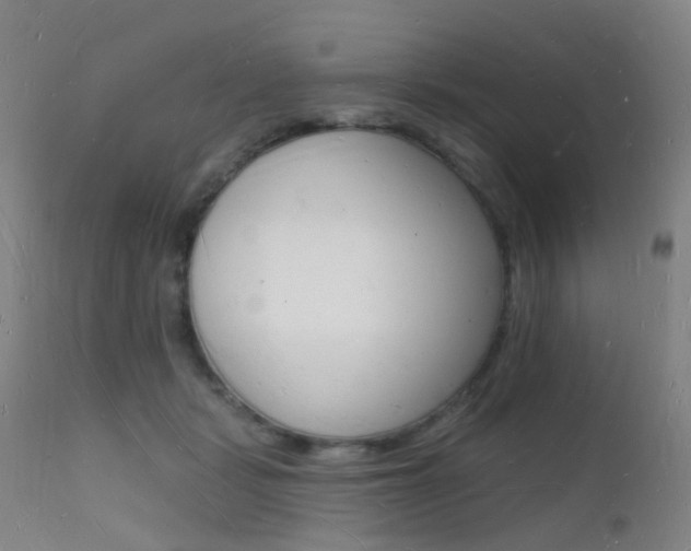 X0000112140461200908070943