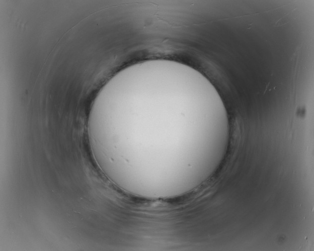 X0000112140463200908070943