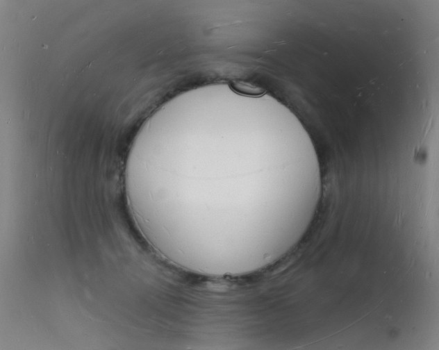 X0000112140464200908070943