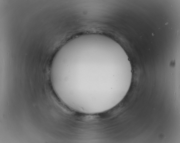 X0000112140465200908070943