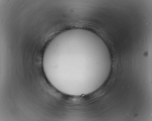 X0000112140466200908070943