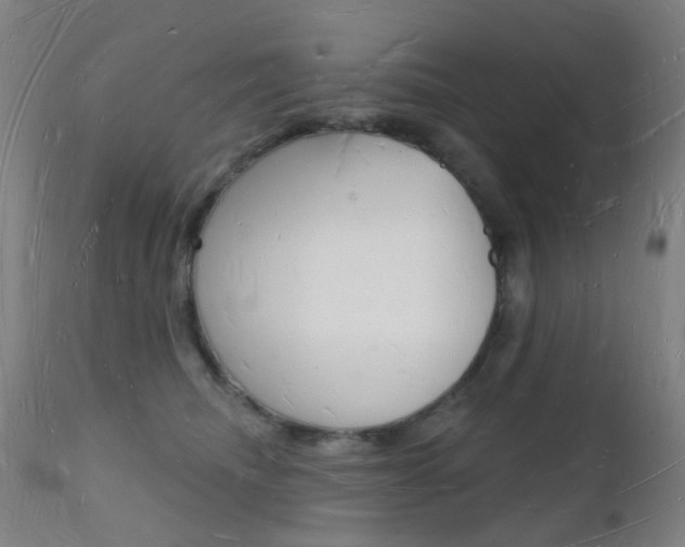 X0000112140468200908070943