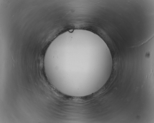 X0000112140471200908070943