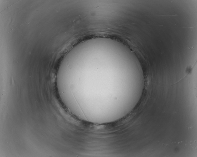 X0000112140472200908070943