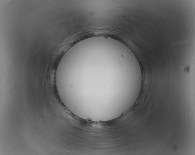 X0000112140475200908070943