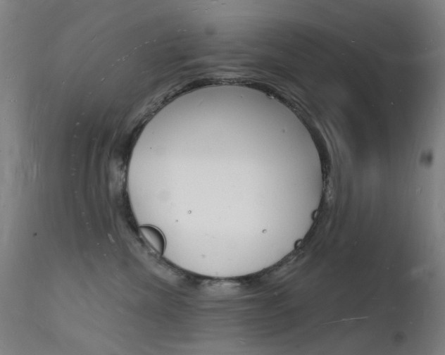 X0000112140476200908070943