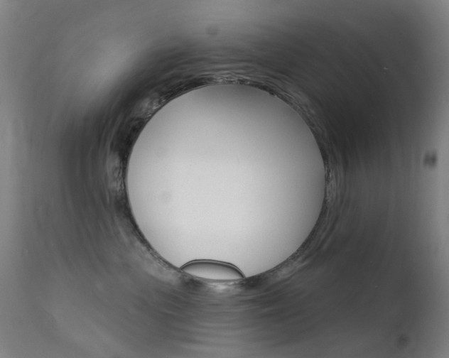 X0000112140477200908070943