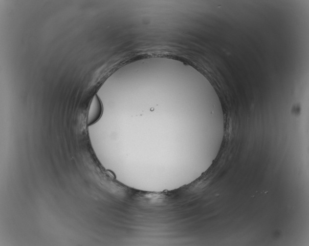 X0000112140478200908070943