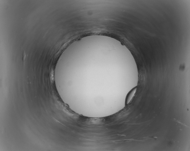 X0000112140479200908070943