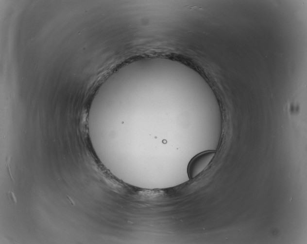 X0000112140480200908070943