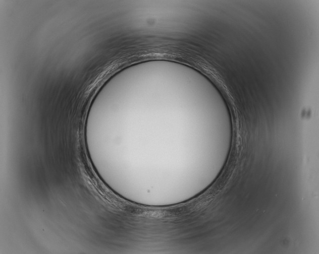 X0000112140482200908070942