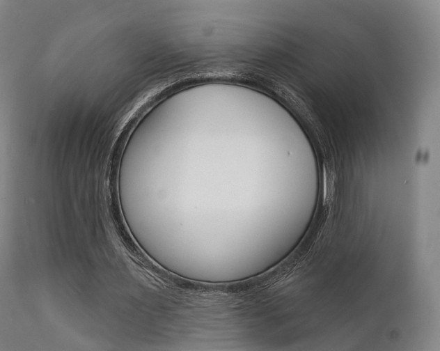 X0000112140483200908070942