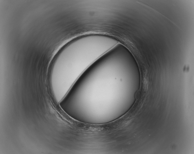 X0000112140484200908070942