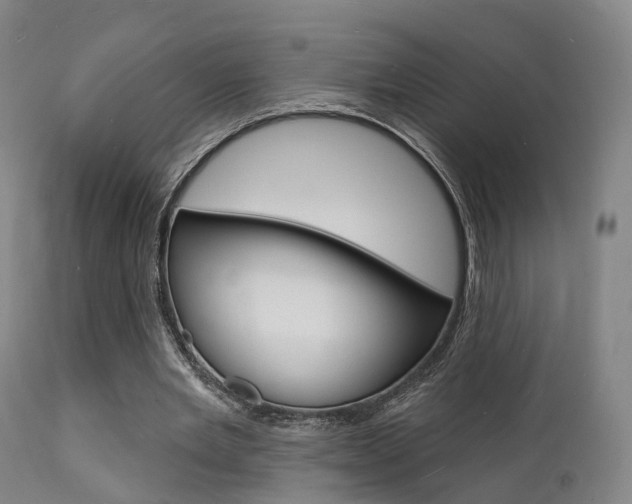 X0000112140485200908070942