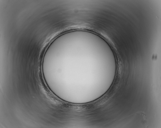 X0000112140486200908070942