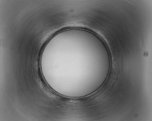 X0000112140487200908070942