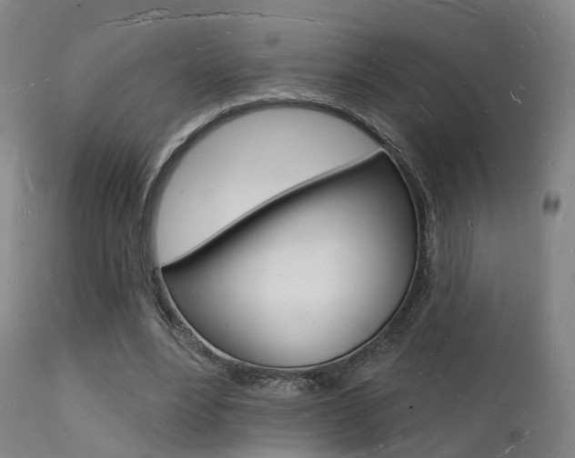 X0000112140488200908070942