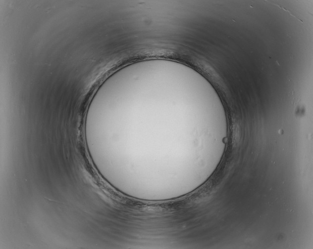X0000112140490200908070942