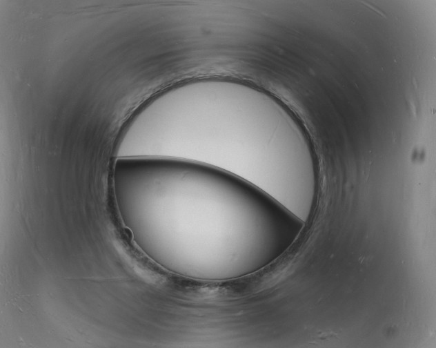 X0000112140493200908070942