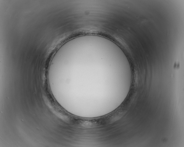 X0000112140494200908070942