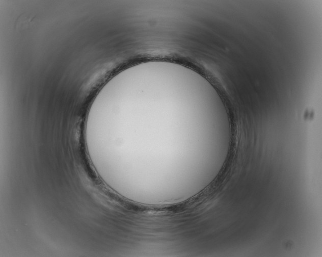 X0000112140495200908070942