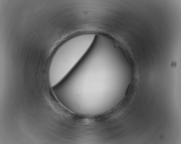 X0000112140496200908070942