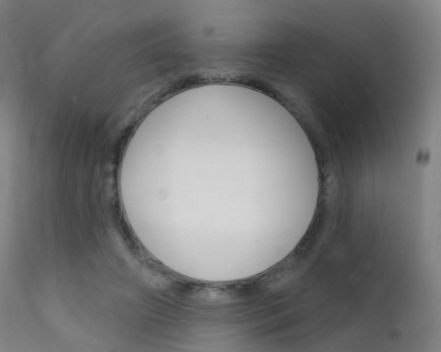 X0000112140498200908070942