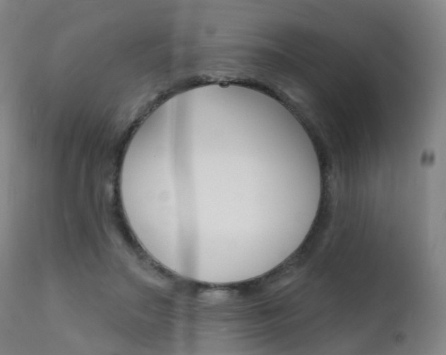 X0000112140499200908070942