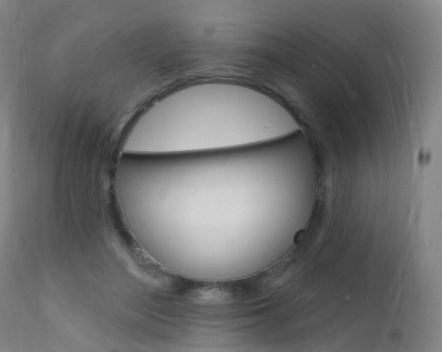 X0000112140500200908070942