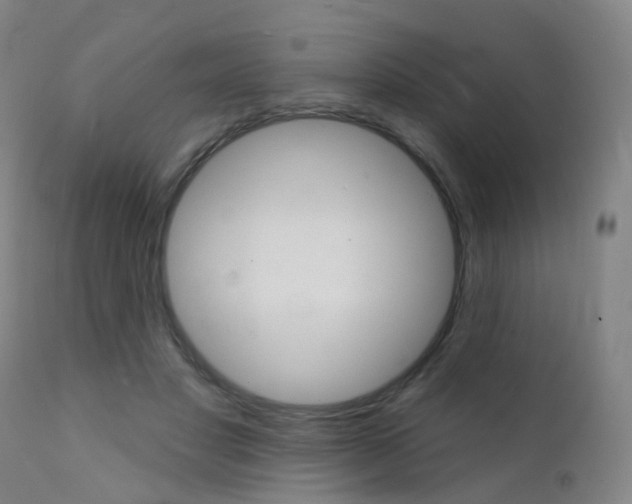 X0000112140501200908070942