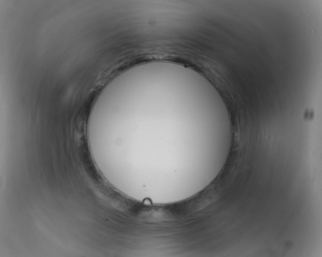 X0000112140503200908070942