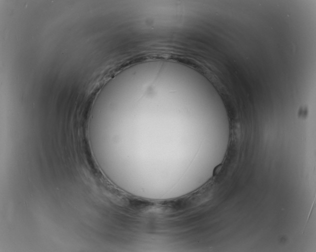 X0000112140504200908070942