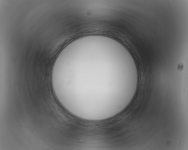 X0000112140505200908070942