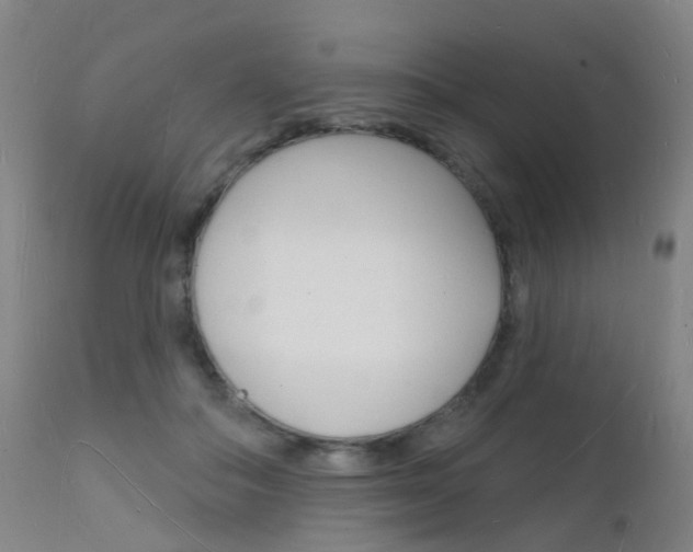 X0000112140506200908070942