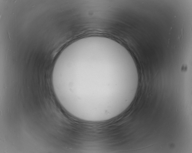 X0000112140508200908070942